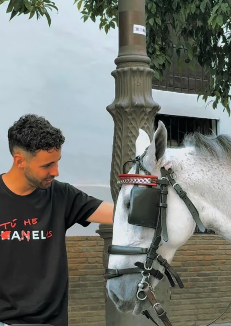 Camiseta Tú me camelas