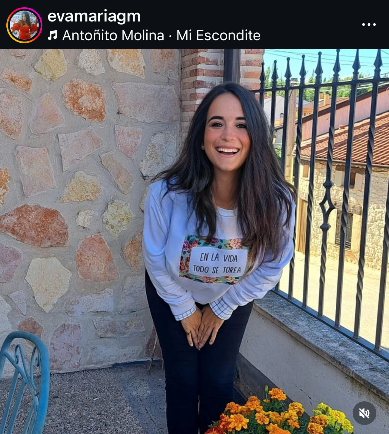 Sudadera En la vida todo se torea