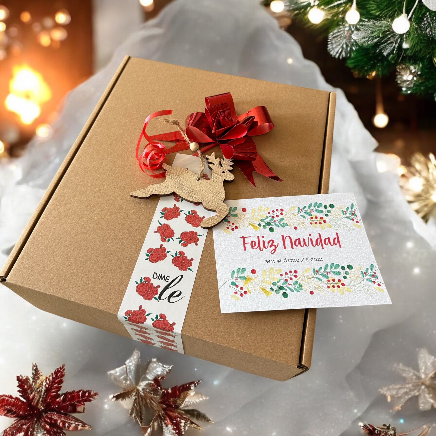 PACKAGING ESPECIAL NAVIDAD